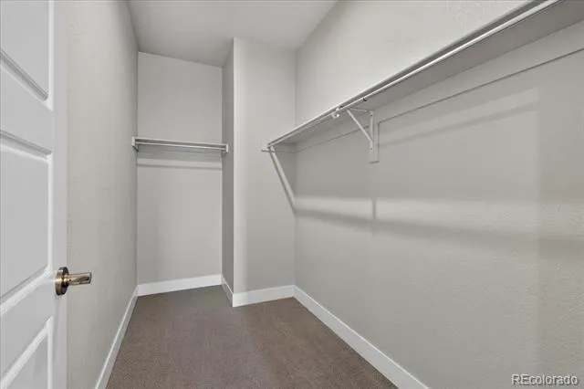 711 E 24th Avenue Denver, CO 80205