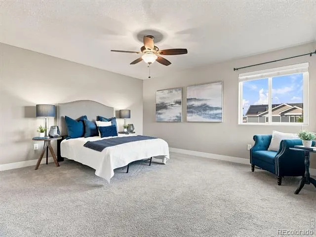 608 Vermilion Peak Drive Windsor, CO 80550