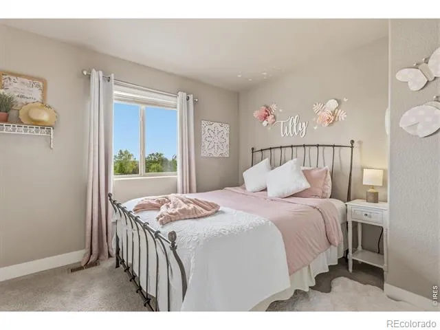608 Vermilion Peak Drive Windsor, CO 80550