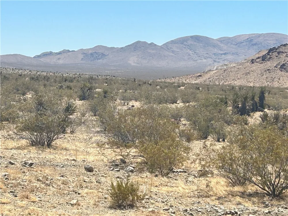 Willow Springs Apple Valley, CA 92307