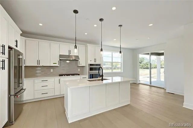 10103 Ames Street Westminster, CO 80020