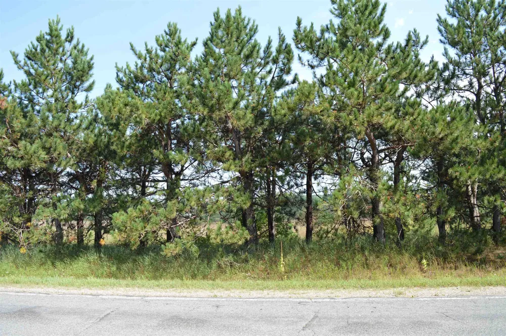 Coster Road Springfield Township, MI 49633