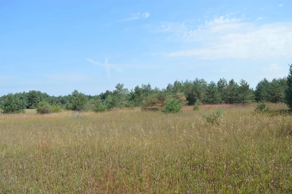 Coster Road Springfield Township, MI 49633