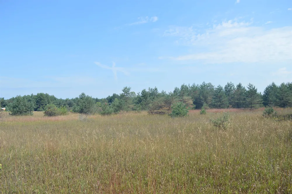 Coster Road Springfield Township, MI 49633