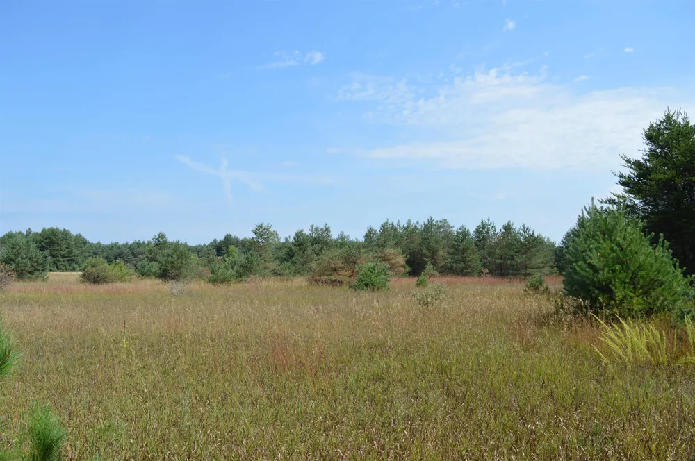 Coster Road Springfield Township, MI 49633