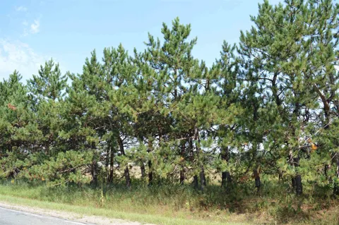 Coster Road