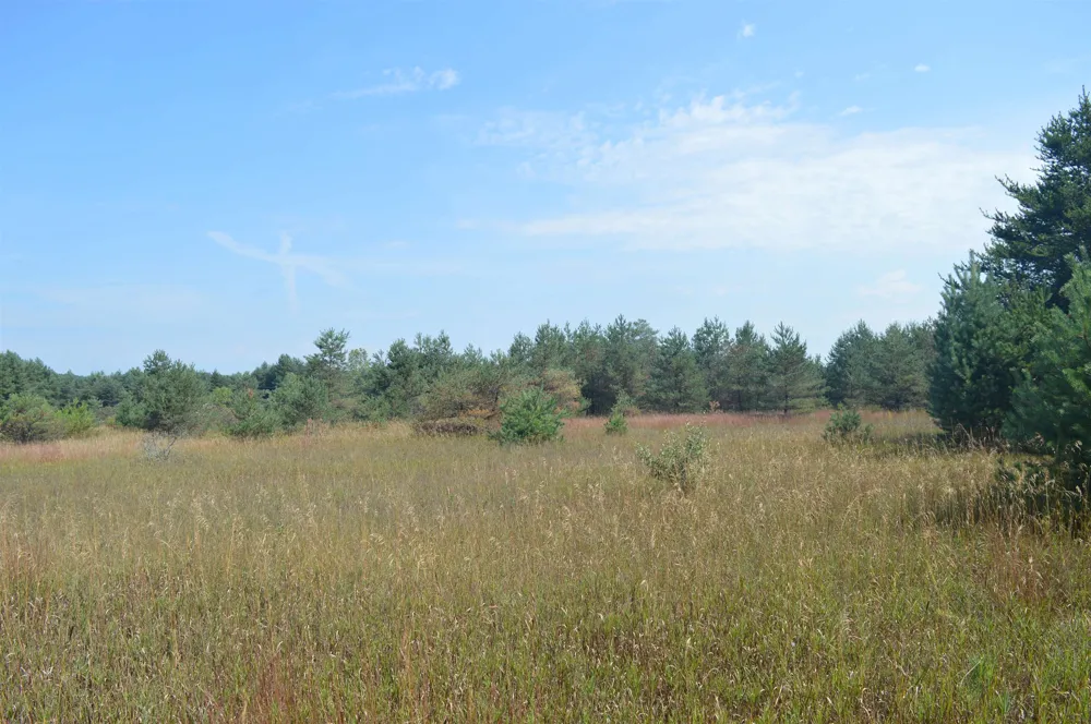 Coster Road Springfield Township, MI 49633