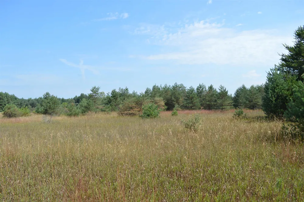 Coster Road Springfield Township, MI 49633