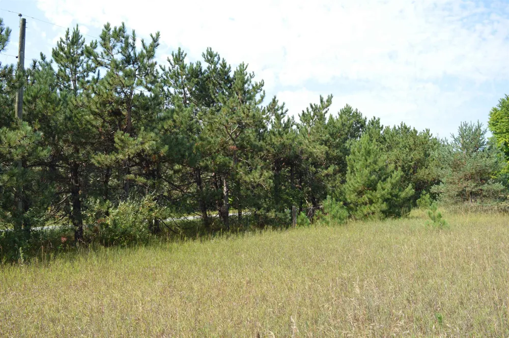 Coster Road Springfield Township, MI 49633