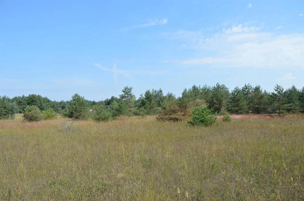 Coster Road Springfield Township, MI 49633