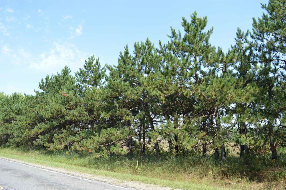 Coster Road Springfield Township, MI 49633