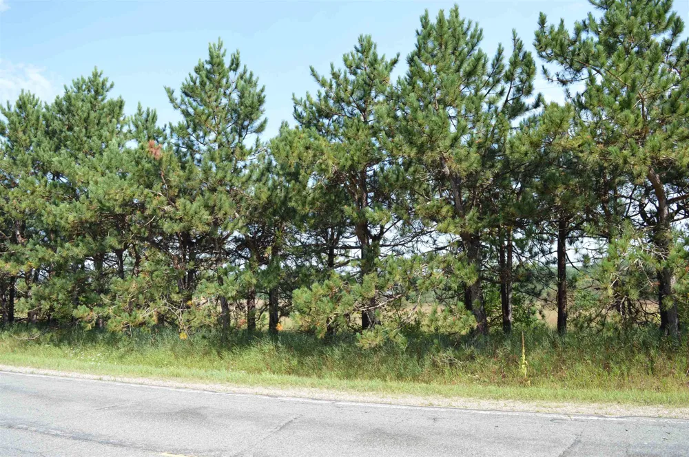 Coster Road Springfield Township, MI 49633
