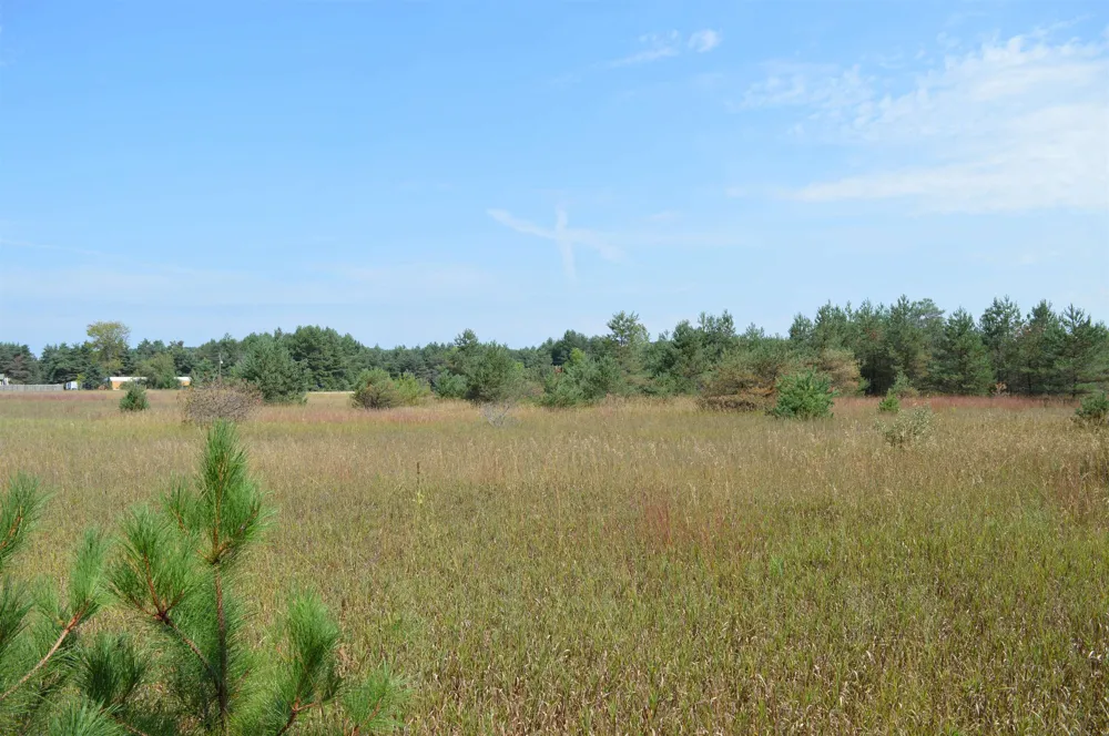 Coster Road Springfield Township, MI 49633