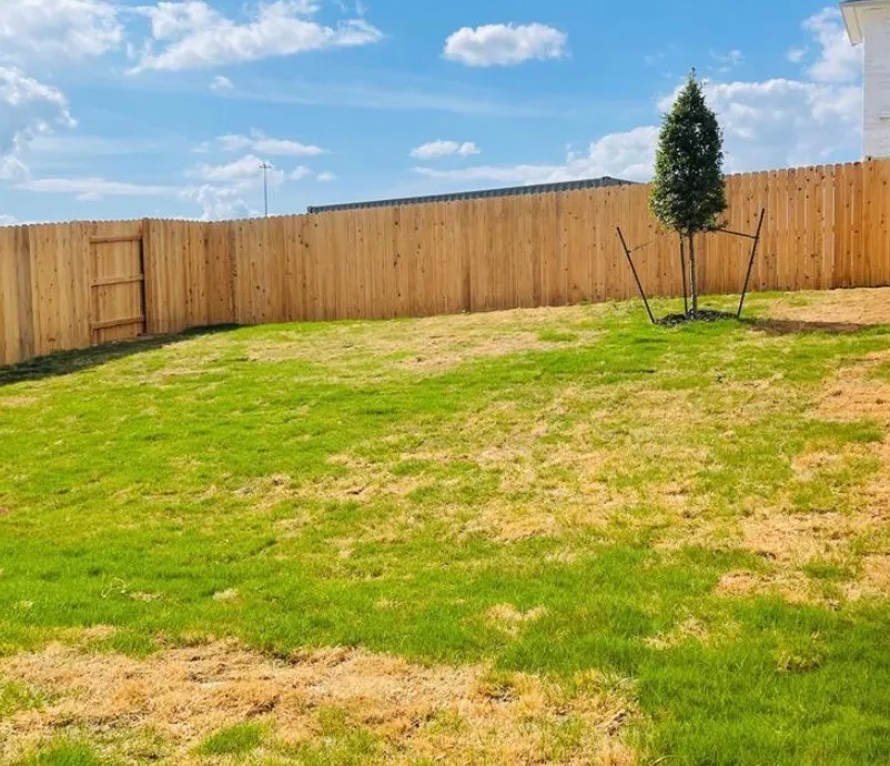 10208 Buckskin Horse Way Manor, TX 78653