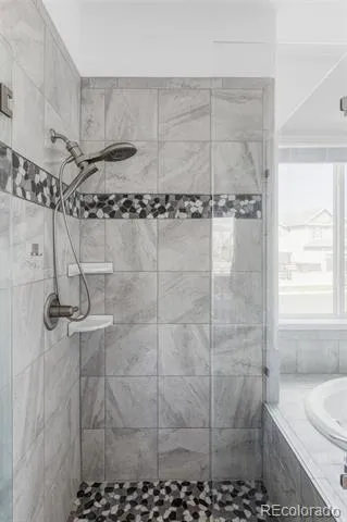 11258 Endeavor Drive Parker, CO 80134
