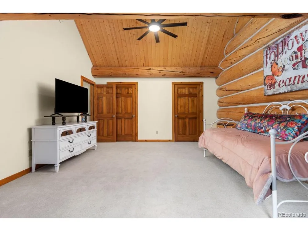 29413 Grayhawk Drive Evergreen, CO 80439