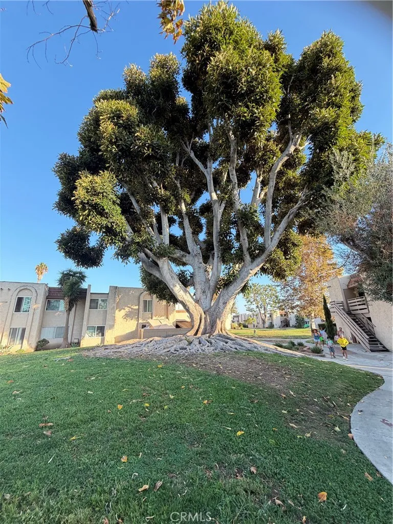 212 S Kraemer #2502 Placentia, CA 92870