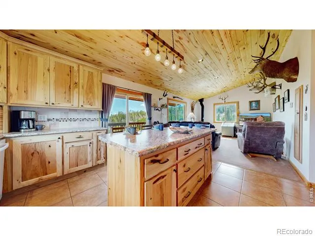 51 Tenino Court Red Feather Lakes, CO 80545