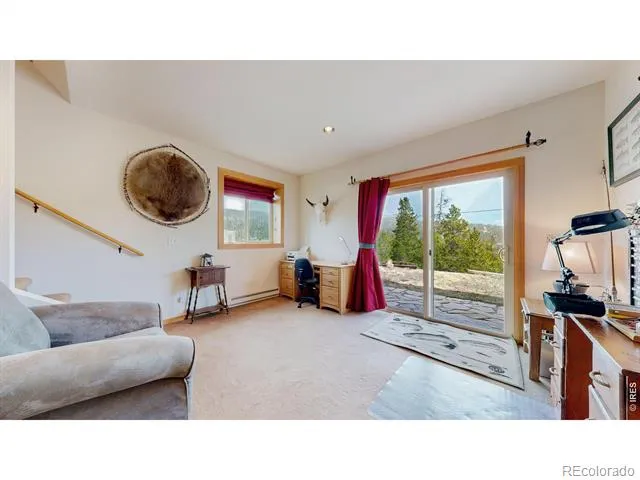 51 Tenino Court Red Feather Lakes, CO 80545