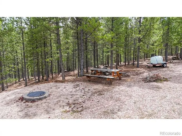 51 Tenino Court Red Feather Lakes, CO 80545