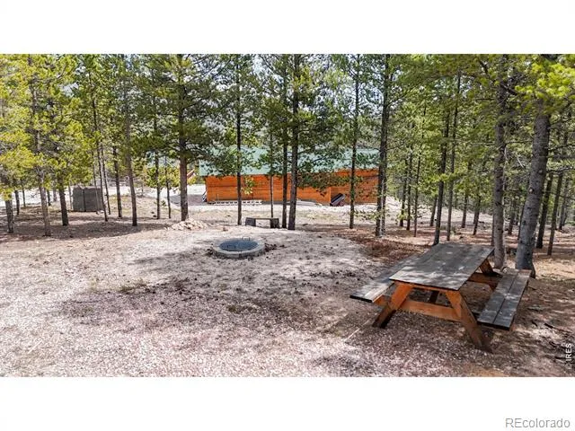 51 Tenino Court Red Feather Lakes, CO 80545