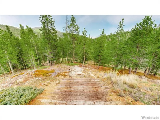 51 Tenino Court Red Feather Lakes, CO 80545