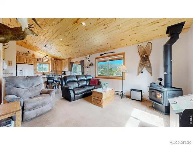 51 Tenino Court Red Feather Lakes, CO 80545