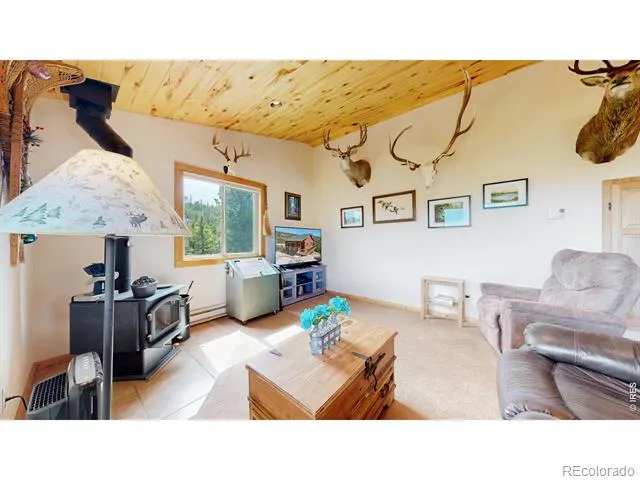 51 Tenino Court Red Feather Lakes, CO 80545