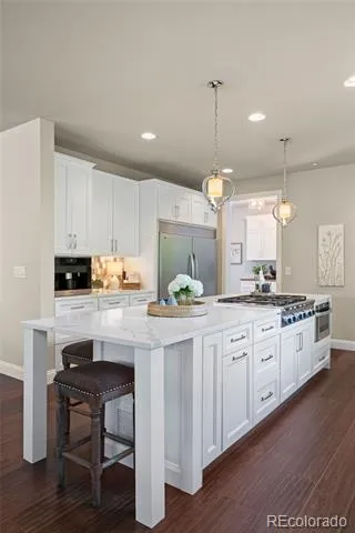 5009 Vermillion Court Castle Rock, CO 80108