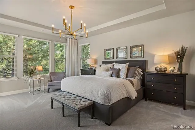5009 Vermillion Court Castle Rock, CO 80108