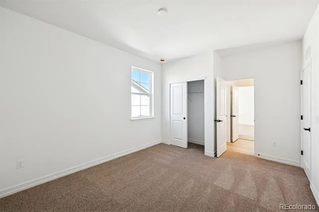 6114 Oban Road Timnath, CO 80547
