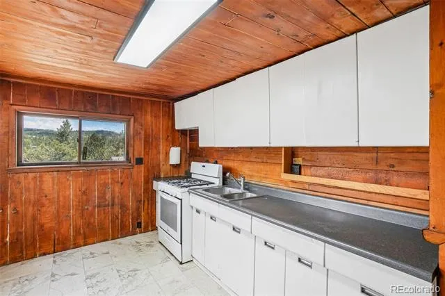 29980 Fir Drive Evergreen, CO 80439