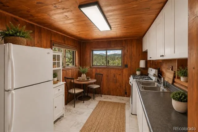 29980 Fir Drive Evergreen, CO 80439