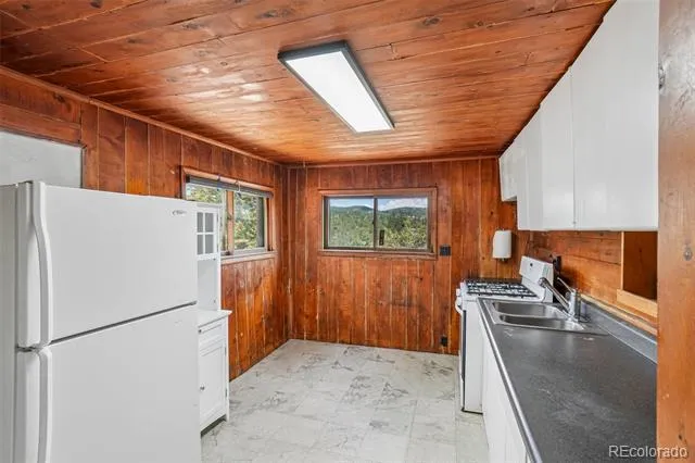 29980 Fir Drive Evergreen, CO 80439