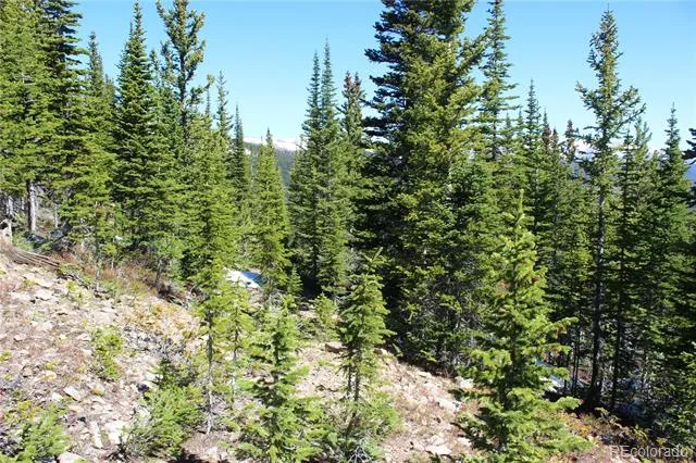 19420 Kingston Peak Road Black Hawk, CO 80422