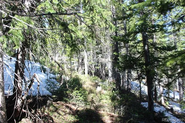 19420 Kingston Peak Road Black Hawk, CO 80422