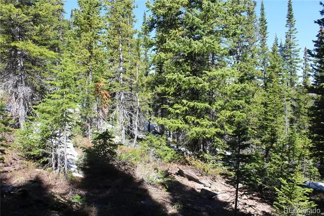 19420 Kingston Peak Road Black Hawk, CO 80422
