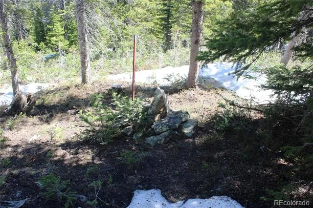 19420 Kingston Peak Road Black Hawk, CO 80422