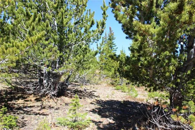 19420 Kingston Peak Road Black Hawk, CO 80422