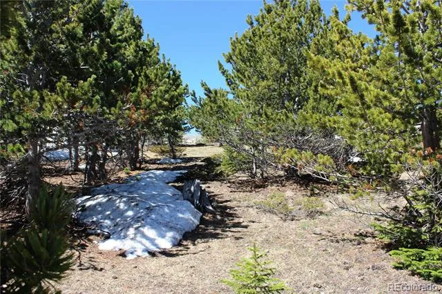 19420 Kingston Peak Road Black Hawk, CO 80422