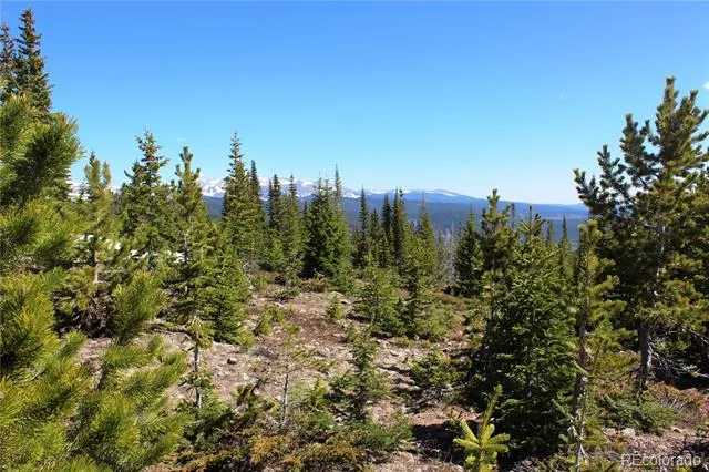 19420 Kingston Peak Road Black Hawk, CO 80422