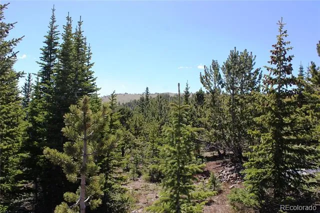 19420 Kingston Peak Road Black Hawk, CO 80422