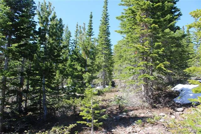 19420 Kingston Peak Road Black Hawk, CO 80422