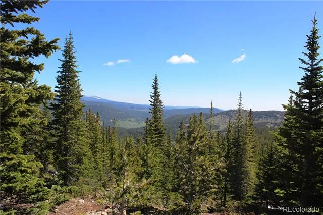 19420 Kingston Peak Road Black Hawk, CO 80422