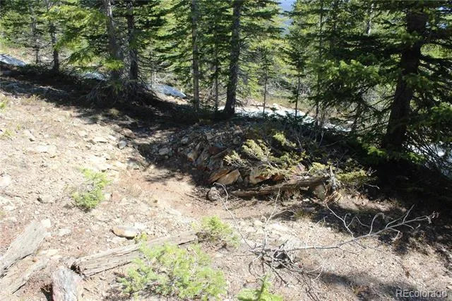 19420 Kingston Peak Road Black Hawk, CO 80422