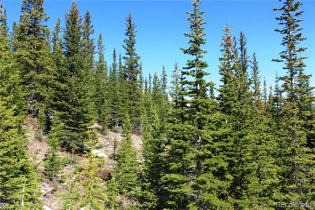 19420 Kingston Peak Road Black Hawk, CO 80422