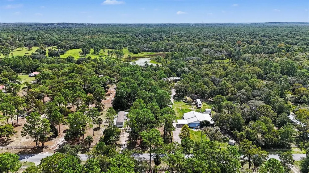 1393 S CANDLENUT AVENUE Homosassa, FL 34448