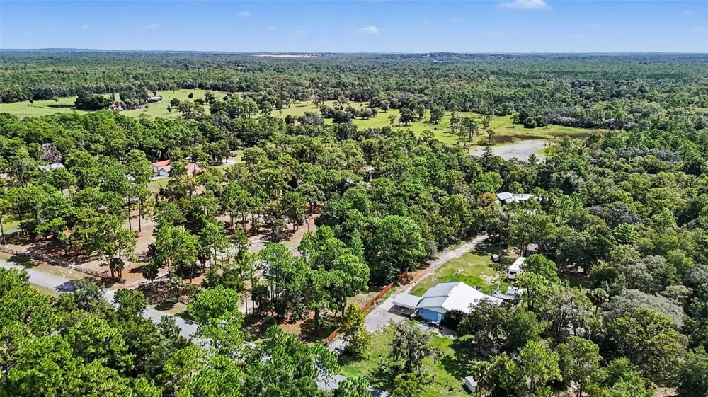 1393 S CANDLENUT AVENUE Homosassa, FL 34448