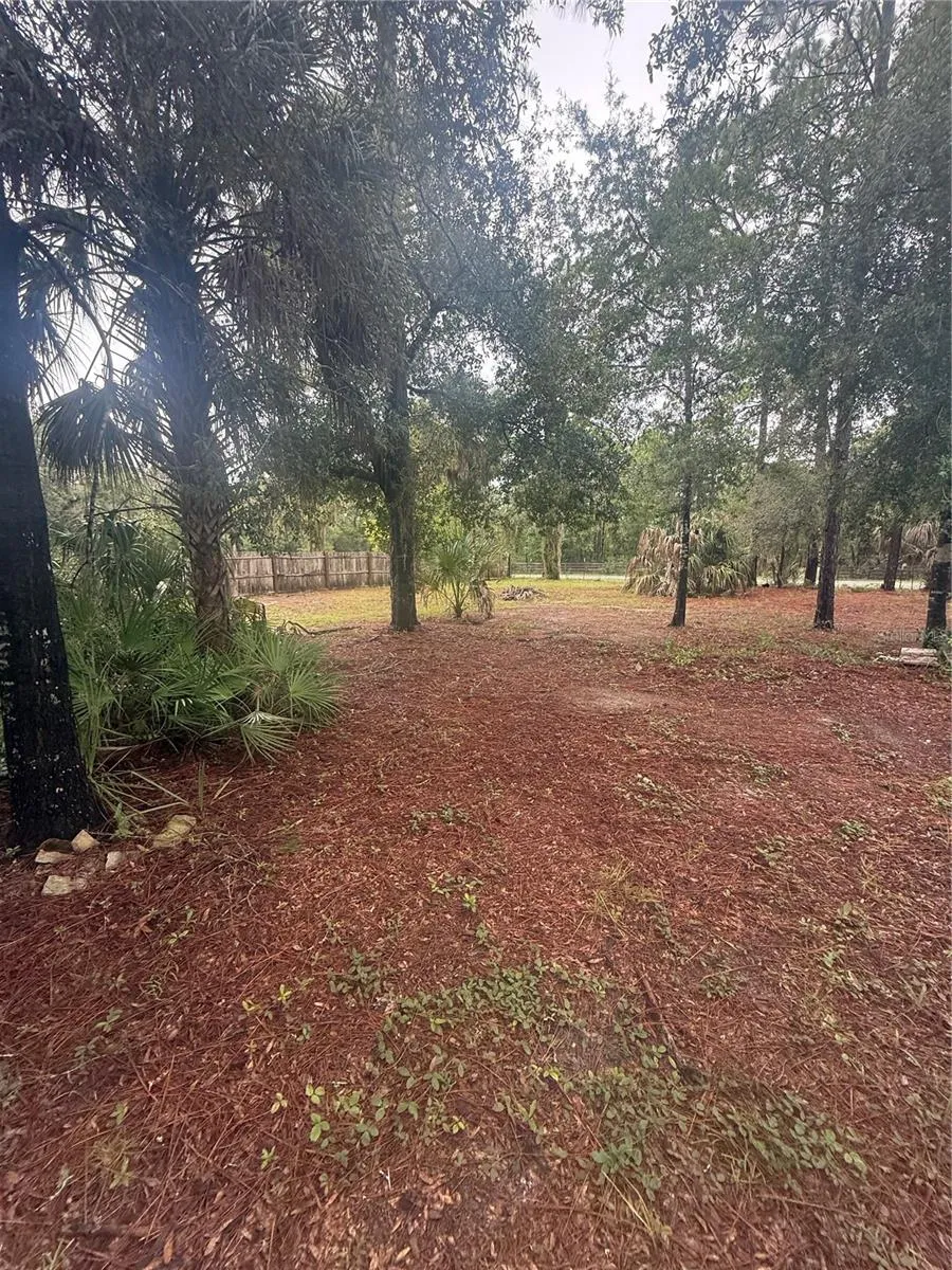 1393 S CANDLENUT AVENUE Homosassa, FL 34448