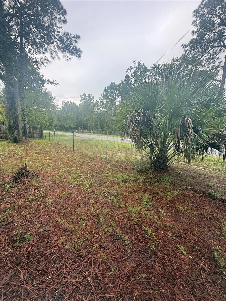 1393 S CANDLENUT AVENUE Homosassa, FL 34448